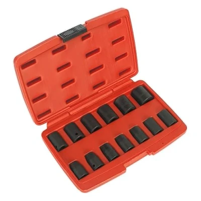 Imagen de Juego de puntas destornillador 1/4&quot;. SEALEY SEA AK5613M