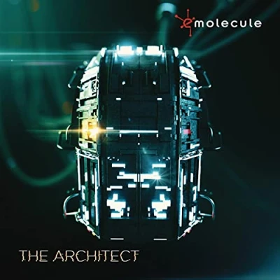 Imagen de The Architect [Vinilo]