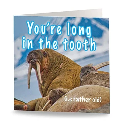 Imagen de Maturi Tarjeta de felicitación cumpleaños con texto en inglés Long in the Tooth, interior blanco, 15,5 x cm