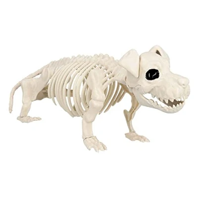 Imagen de Boland 72416 Esqueleto para perro, tamaño 52 cm, boca móvil, etc