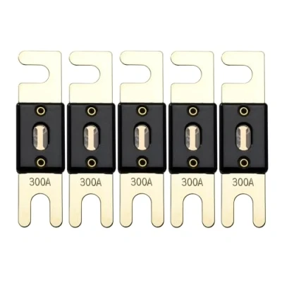 Imagen de Offgridtec Fusible ANL de 300 A 72 V DIN43560/1, 5 unidades