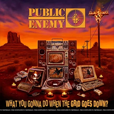 Imagen de What You Gonna Do When The Grid Goes Down [Vinilo]