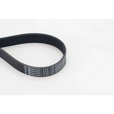 Imagen de CONTITECH 8PK1122 EXTRA Correa trapecial poli V 1122 8 BMW: 3 Berlina