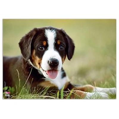 Imagen de VELOFLEX 4650099 almohadilla de escritorio Puppy, 35 x 50 cm, antideslizante, lavable, con película protectora transparente antirreflejos,