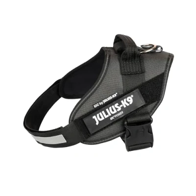 Imagen de Arnés IDC Power, Tamaño: 0/M, 2TON (Negro Gris)