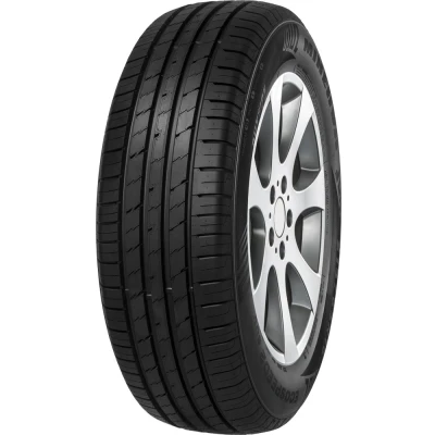 Imagen de Minerva ECOSPEED 2 SUV XL 295/35 R21 107Y coche de turismo Neumáticos verano AUDI: Q7, VOLKSWAGEN: Touareg I MV559