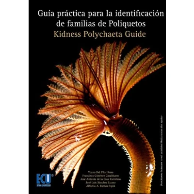 Imagen de Guía práctica para la identificación de familias poliquetos (ECU)