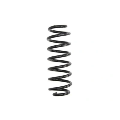 Imagen de Magnum Technology SW163 Muelle de suspensión Eje trasero VOLKSWAGEN: Passat B6 Variant