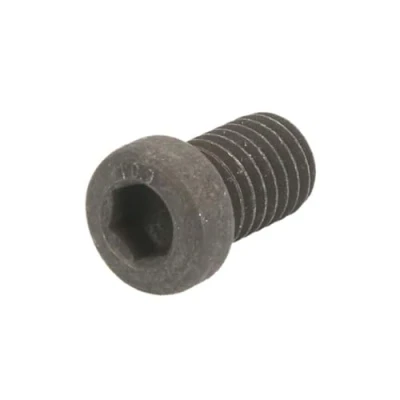 Imagen de Tornillo, disco de freno DELPHI BGK011