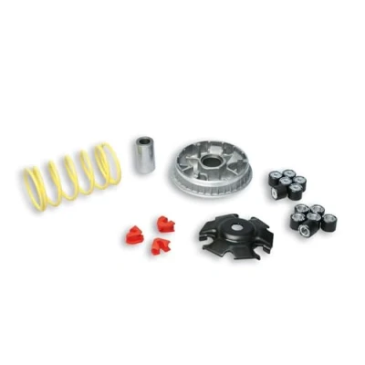 Imagen de Malossi 5113134 Variador para Yamaha Majesty 125 4T LC Multivar 2000
