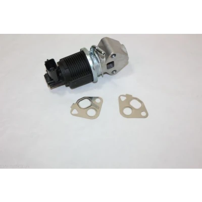 Imagen de AUTOMEGA 140010810 Válvula EGR SEAT: Ibiza 3, Leon I Hatchback, Toledo 2 Limousine, VOLKSWAGEN: Golf 4, 5, Caddy SKODA: Octavia Hatchback