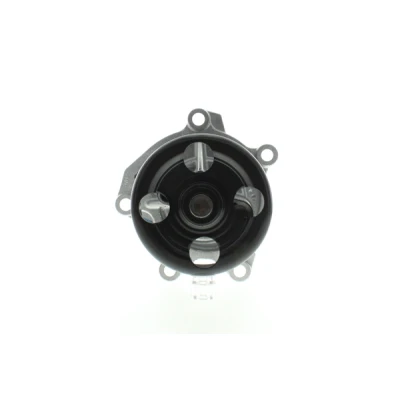 Imagen de AISIN WPN 117 Bomba de agua NISSAN: Qashqai 2, Juke, X Trail, RENAULT: Clio 4