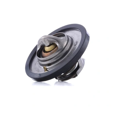 Imagen de DAYCO DT1062V Termostato, refrigerante 89 53,5 RENAULT: Scénic 1, MEGANE 1 Coach, CLIO 2, CITROËN: Saxo Hatchback, Berlingo / First I norauto