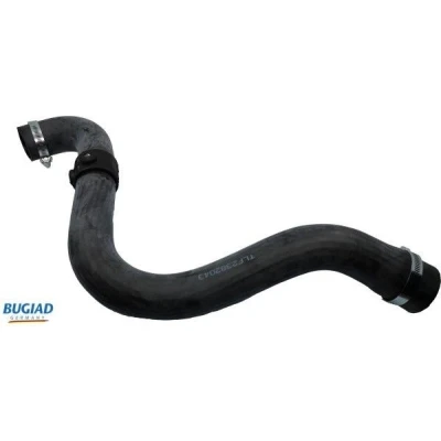 Imagen de BUGIAD 82043 Manguera Turbo Caucho con abrazaderas RENAULT: Kangoo I, CLIO 2, I Express