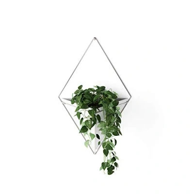 Imagen de Umbra Trigg Soporte decorativo de pared multifuncional, Blanco/Níquel
