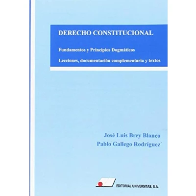 Imagen de DERECHO CONSTITUCIONAL. FUNDAMENTOS Y PRINCIPIOS DOGMÁTICOS.: LECCIONES, DOCUMENTACIÓN COMPLEMENTARIA TEXTOS.