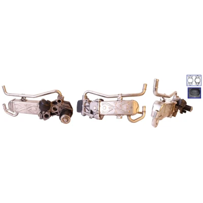 Imagen de ELSTOCK 73 0109 Válvula EGR eléctrico con juntas, radiator SEAT: Ibiza 4 ST, 4, Sportcoupe, SKODA: Fabia 2