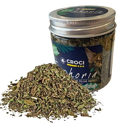Imagen de Croci Euphoria Tarro de Hierba gatera Comestible para Gatos, 25 g
