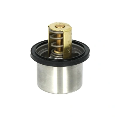 Imagen de WAHLER 4619.82 Termostato, refrigerante 82 con junta