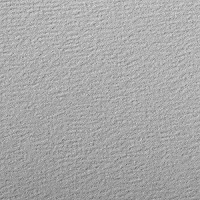 Imagen de Clairefontaine Ref 93767C Papel de dibujo granulado (24 hojas papel), 50 x 65 cm, 160 g/m², color gris, sin ácido, pH neutro