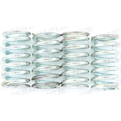 Imagen de Kit muelles de embrague TRW MEF131 4