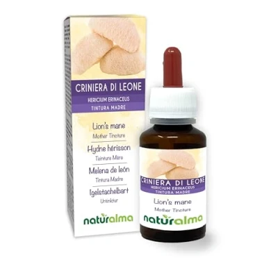 Imagen de Melena de león o Seta erizo (Hericium erinaceus) hongo Tintura Madre sin alcohol Naturalma Extracto líquido gotas 60 ml Complemento alimenticio Vegano