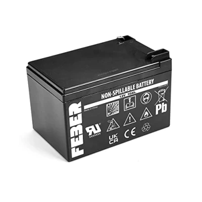 Imagen de FEBER Batería/Pila Recargable, 10 Ah, 12 V (Famosa 800003106)
