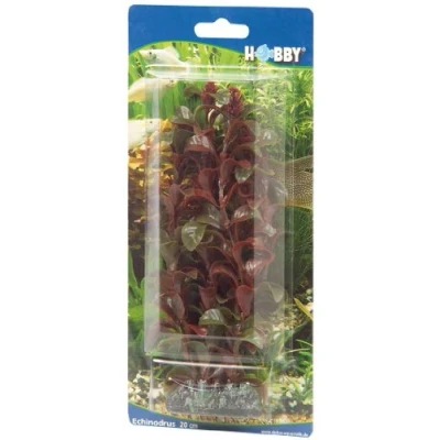 Imagen de Hobby 41514 Rotala 16cm