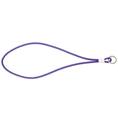 Imagen de Pantone Diseño de llavero Key Chain Long, ultra Violet 18 3838, (Color of the year 2018)