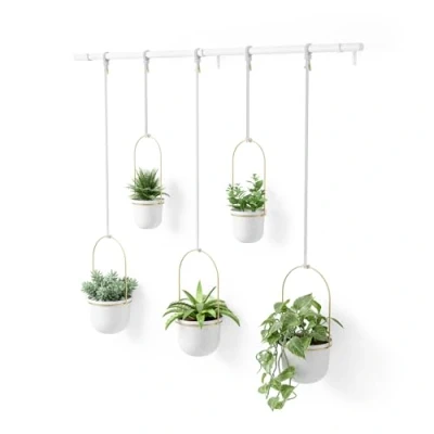 Imagen de Umbra Triflora Hanging Planter, 5 Maceteros, Blanco/Ottone