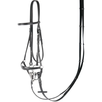Imagen de Harry&#039;s Horse Brida de bronce banda nariz baja Cob Negro