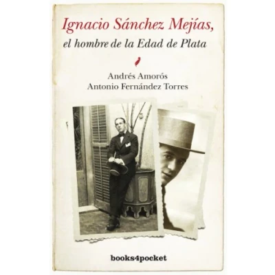 Imagen de Ignacio Sanchez Mejias (B49): 293 (Ensayo y Divulgación)