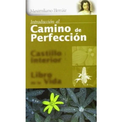 Imagen de Introducción al Camino de Perfección (Karmel)