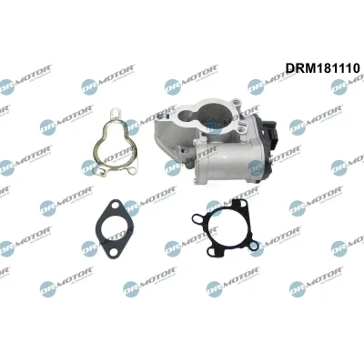 Imagen de DR.MOTOR AUTOMOTIVE DRM181110 Válvula EGR eléctrico RENAULT: TRAFIC 2 Kasten, MEGANE 3, Laguna III Coupé, NISSAN: Qashqai / Qashqai+2 I