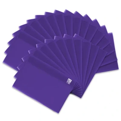 Imagen de Landre 100420094 Lote de fundas para papel (DIN A5, 25 unidades), color violeta translúcido