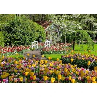Imagen de Ravensburger Puzzle: Jardines del Parque Keukenhof en los Países Bajos, 1000 piezas, Puzzles para Adultos, Rompecabezas Regalos a Partir de 14 Años, 70x50cm