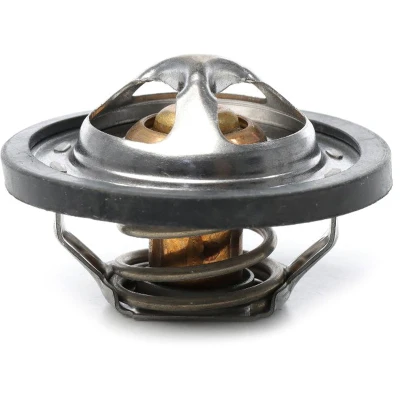 Imagen de METZGER 4006392 Termostato, refrigerante 95 con junta sin carcasa (cárter) RENAULT: MEGANE 3, CLIO 3 Coupe, NISSAN: Qashqai / Qashqai+2 I