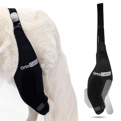 Imagen de Ortocanis Inmovilizador de Rodilla para Perros con Rotura Ligamentos, Luxación Rótula, Talla S Pierna Derecha
