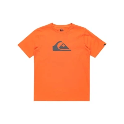 Imagen de Quiksilver LOGO Unisex Camiseta estampada para niños, Talla: 12a, Nme