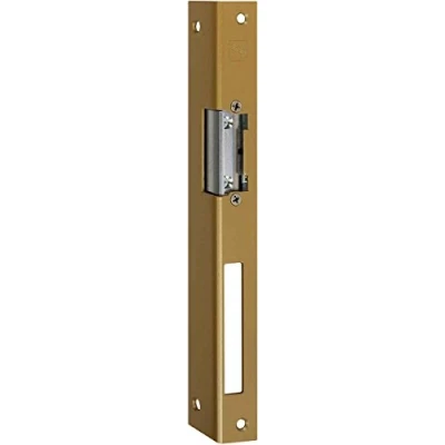 Imagen de Assa Abloy effeff 4042203146679 Abridor de puerta eléctrico Din derecha 14EFafix Iw R go Gold