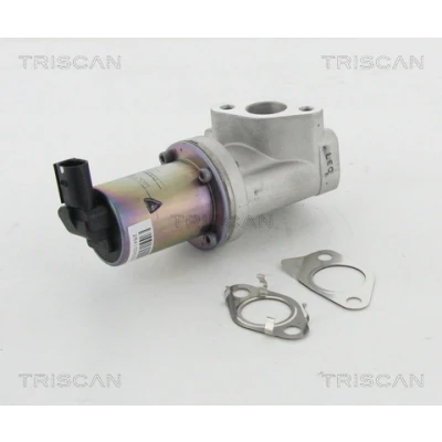 Imagen de TRISCAN 8813 43021 Válvula EGR eléctrico con juntas KIA: cee‘d I Hatchback, Familiar, II Sportswagon, HYUNDAI: i30 Hatchback