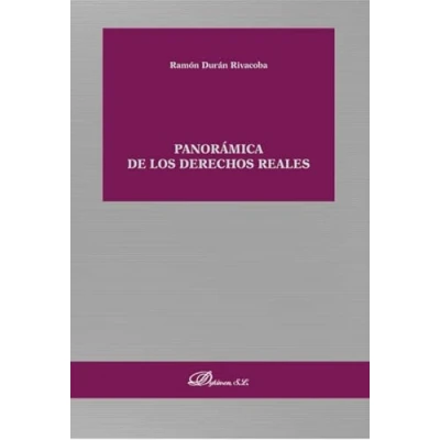 Imagen de Panorámica de los derechos reales (SIN COLECCION)