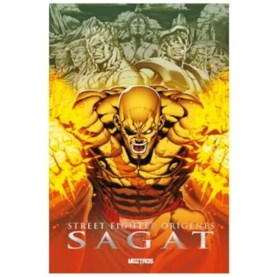 Imagen de Street Fighter Origenes sagat Joe Ng (autor)