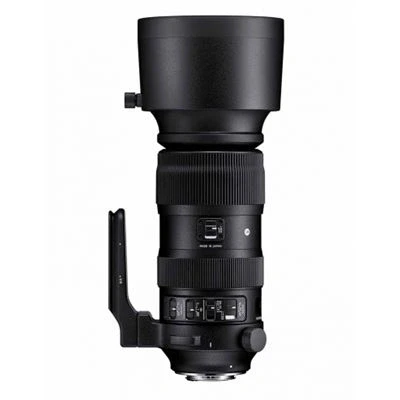 Imagen de Sigma F4.5 6.3 DG OS HSM Sport Teleobjetivo Zoom 60 600 mm para Nikon, Color Negro