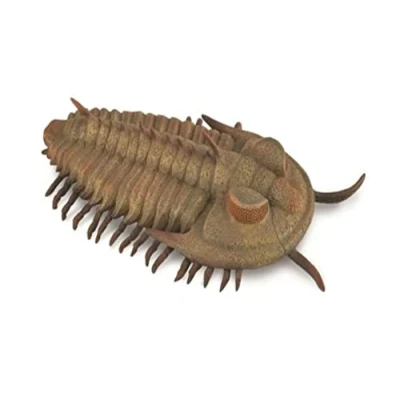 Imagen de Bigjigs Toys CollectA, Redlichia Rex Trilobite, figura de animal coleccionable