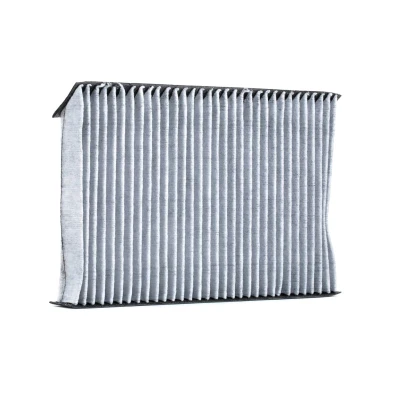 Imagen de VALEO CLIMFILTER PROTECT 715647 Filtro de habitáculo carbón activado 262 173 35 RENAULT: MEGANE 3, 3 Grandtour, Coupe