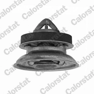Imagen de CALORSTAT by Vernet WF0077 Bridas RENAULT: CLIO 2, MEGANE SCENIC DACIA: Duster SUV, Logan I Berlina, Sandero