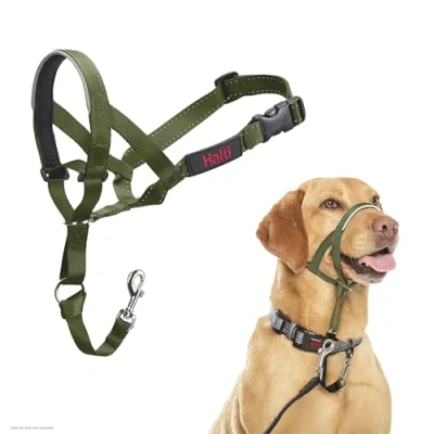 Imagen de Collar Ronzal HALTI para Evitar Que tu Perro Tire de la Correa, Ajustable con Banda Nariz Acolchada. Adiestramiento canino antitirones Perros medianos (Talla 3, Bosque Verde)