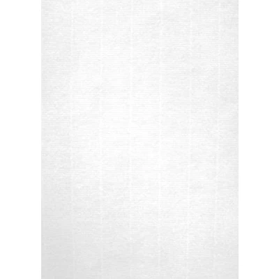 Imagen de APLI 12368 Papel verjurado blanco 100 g hojas textura