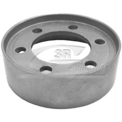 Imagen de 3RG 10653 Polea inversión/guía, correa distribución RENAULT: LAGUNA 1, CLIO 2, 1